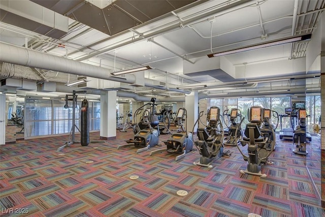 gym featuring plenty of natural light and carpet