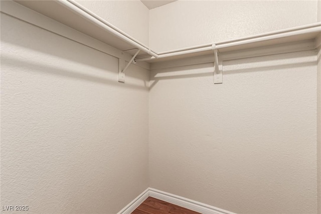 walk in closet featuring wood-type flooring