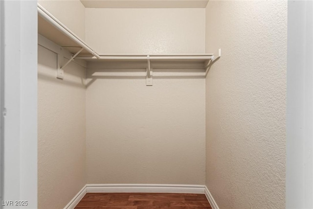 spacious closet featuring hardwood / wood-style floors