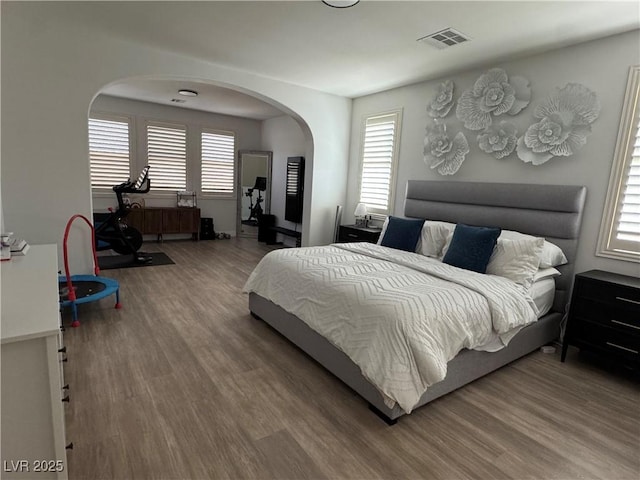 bedroom featuring multiple windows and wood-type flooring