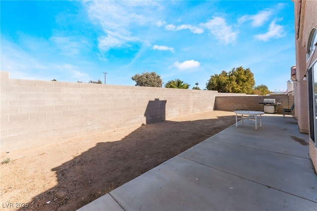 view of yard featuring a patio area