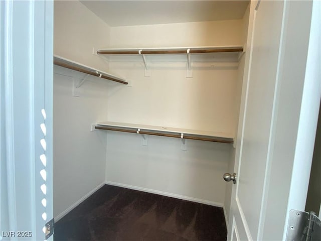 spacious closet with dark colored carpet