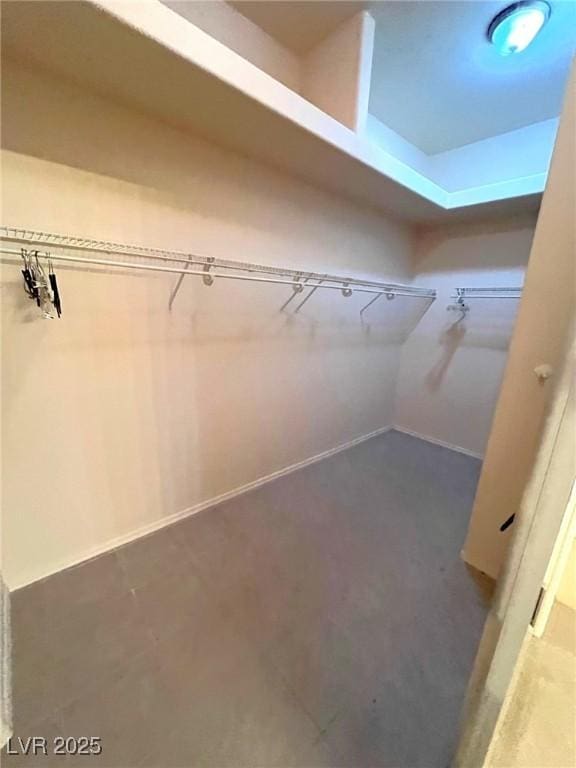 view of walk in closet