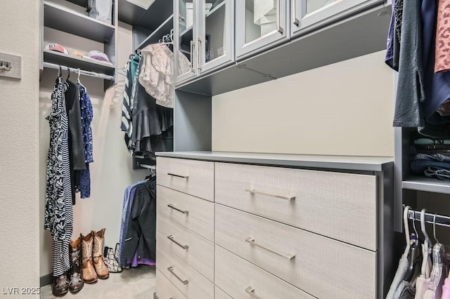 spacious closet featuring carpet floors