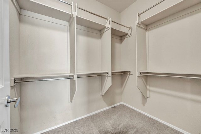 walk in closet featuring carpet