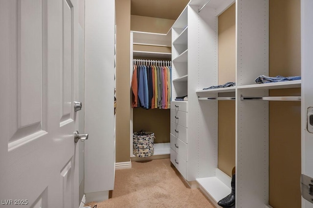 spacious closet with light colored carpet