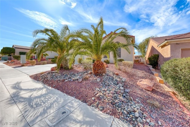 view of front of home with concrete driveway and stucco siding