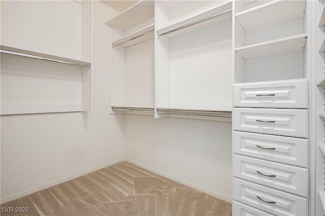 spacious closet with carpet floors