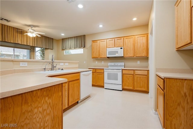 kitchen with sink, white appliances, and ceiling fan