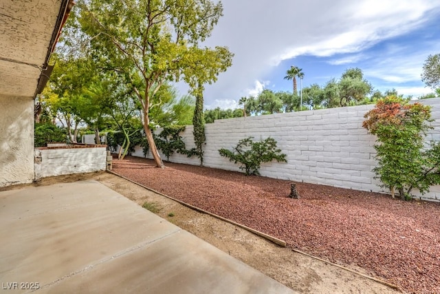 view of yard with a patio