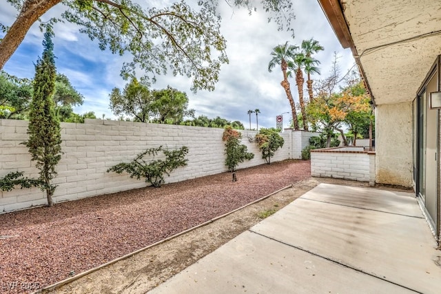 view of yard with a patio