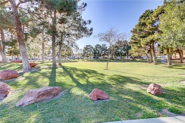 view of community featuring a lawn