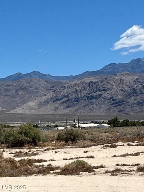 4180 S Silk Pl, Pahrump, NV 89048