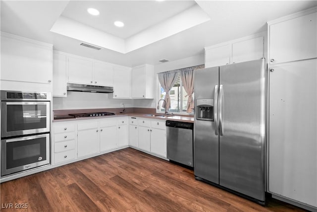 kitchen with sink, white cabinetry, stainless steel appliances, dark hardwood / wood-style floors, and a raised ceiling