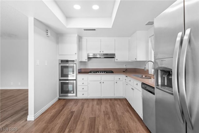 kitchen with sink, appliances with stainless steel finishes, dark hardwood / wood-style floors, a raised ceiling, and white cabinets