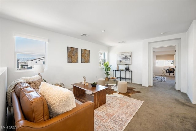 carpeted living room with plenty of natural light