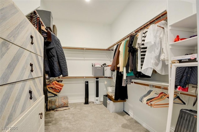 spacious closet with light colored carpet