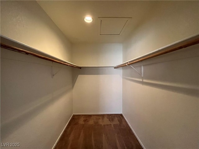 spacious closet featuring dark hardwood / wood-style floors