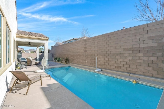 view of swimming pool featuring a patio and ceiling fan