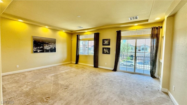 carpeted spare room with a wealth of natural light