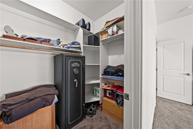 spacious closet featuring carpet flooring