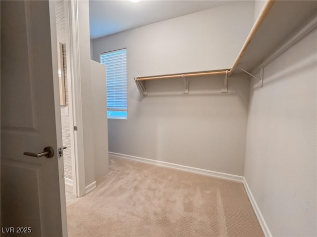 spacious closet featuring light carpet