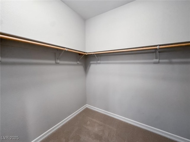 walk in closet with carpet floors