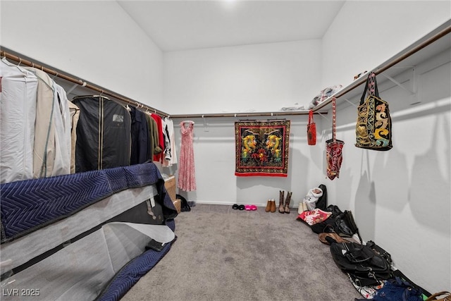 723 Orange Plume Walk Unit 0, Henderson, NV 89011 - spacious closet with carpet