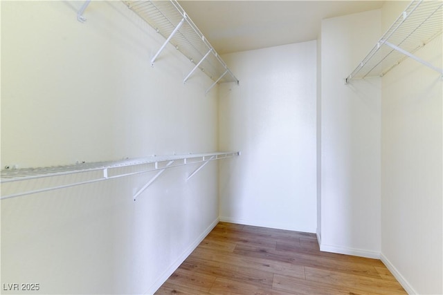 walk in closet with hardwood / wood-style flooring