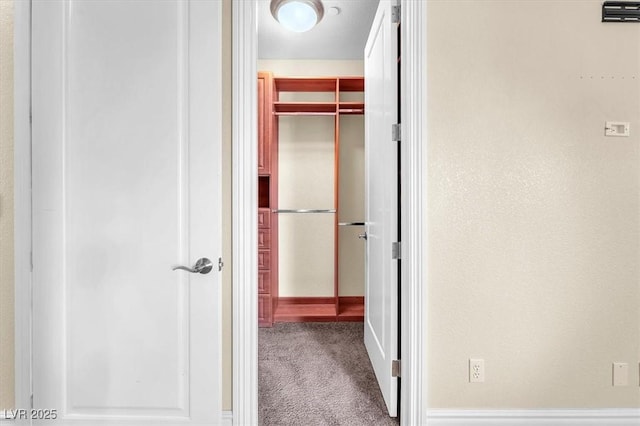 hallway featuring carpet flooring