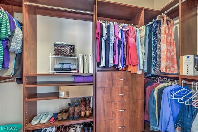 view of spacious closet