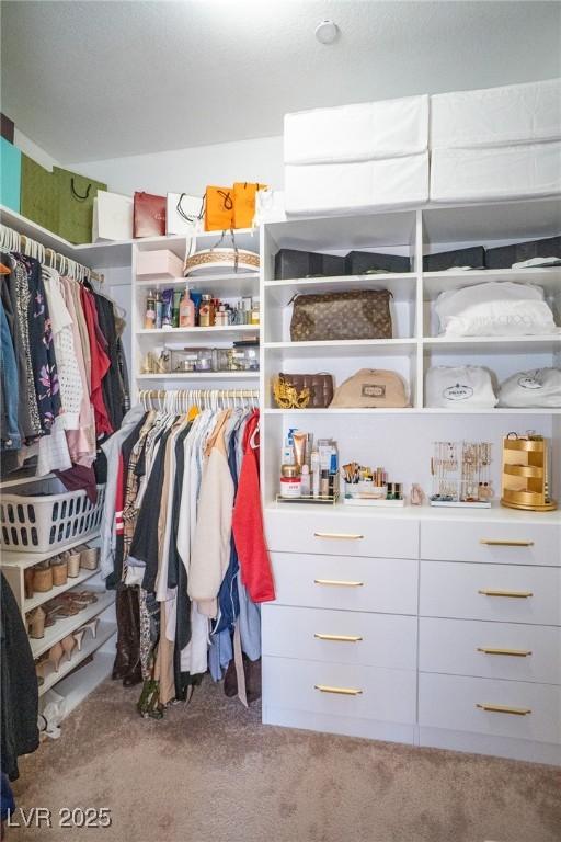 spacious closet with carpet flooring