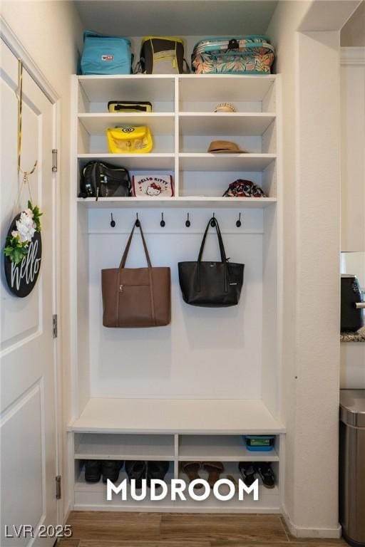 mudroom with wood-type flooring