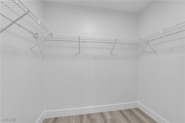 walk in closet with hardwood / wood-style flooring