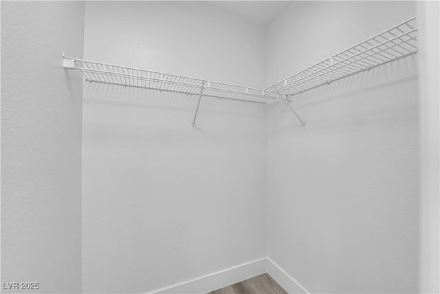 walk in closet with hardwood / wood-style floors