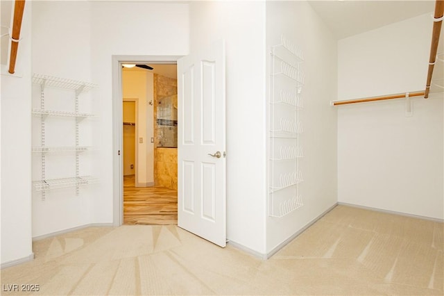 spacious closet featuring carpet flooring