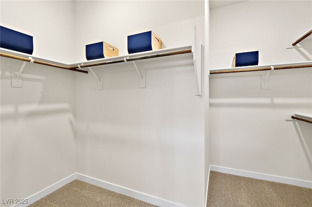 spacious closet with carpet flooring