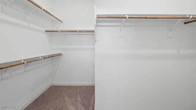 4485 E Brusca Way, Pahrump, NV 89061 - walk in closet featuring carpet