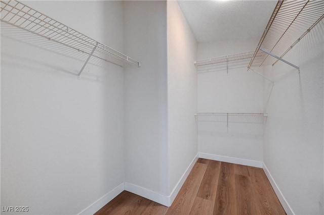 spacious closet with hardwood / wood-style floors