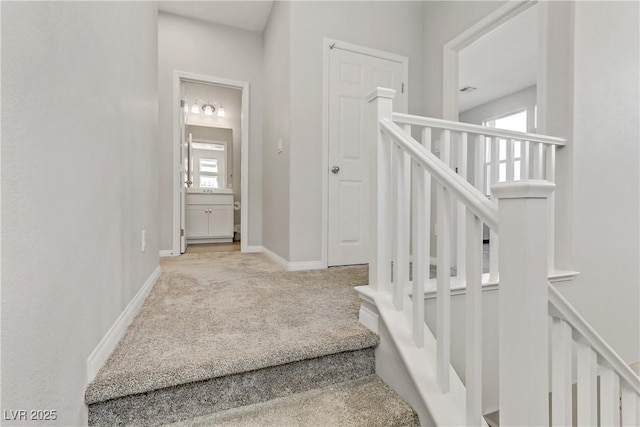 stairs with carpet floors