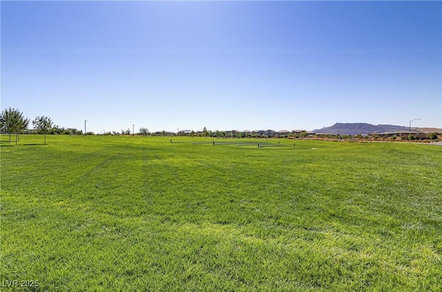 view of yard featuring a mountain view and a rural view