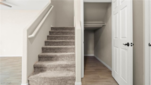 stairway with wood-type flooring