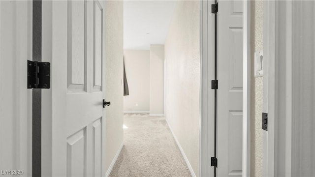 hall featuring light carpet