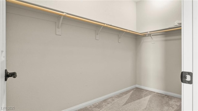 spacious closet with carpet