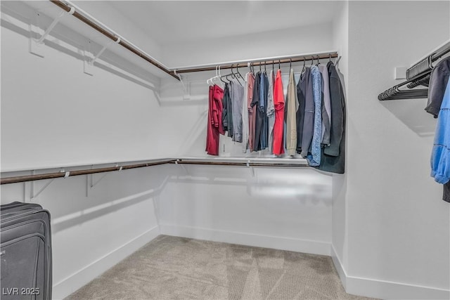 spacious closet with light colored carpet