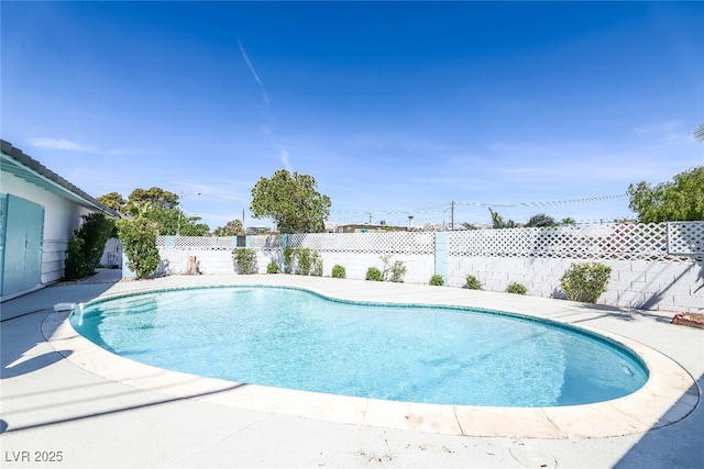 view of swimming pool