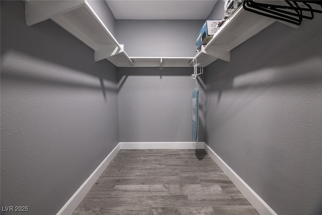 walk in closet featuring wood-type flooring