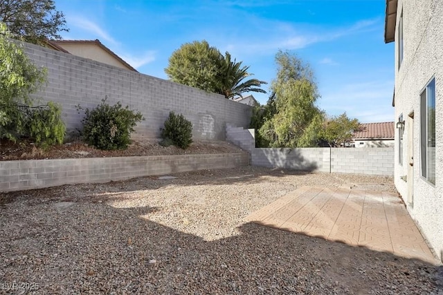 view of yard with a patio area