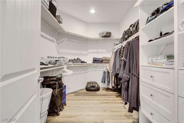 walk in closet with light hardwood / wood-style flooring