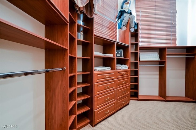 spacious closet with light carpet